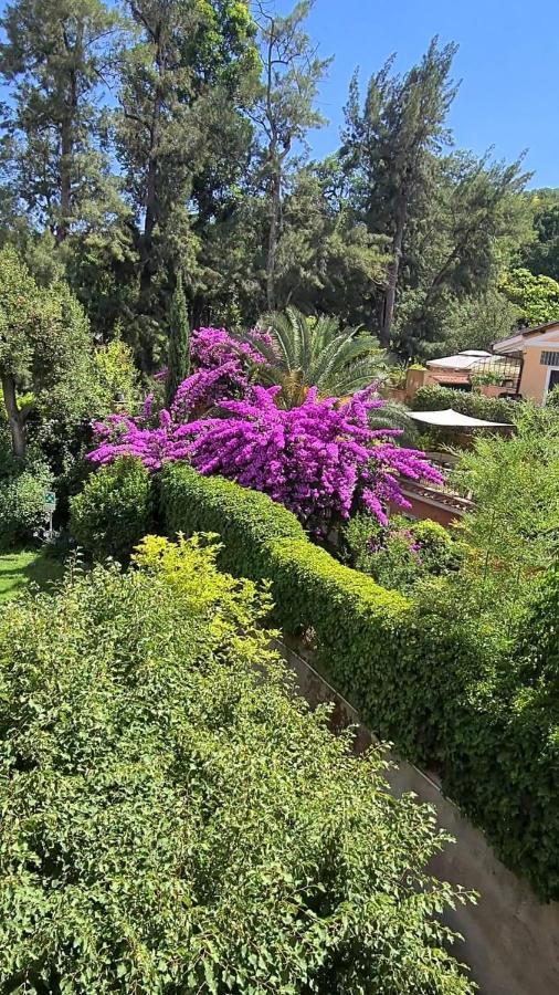 Bed & Breakfast Riari Rome